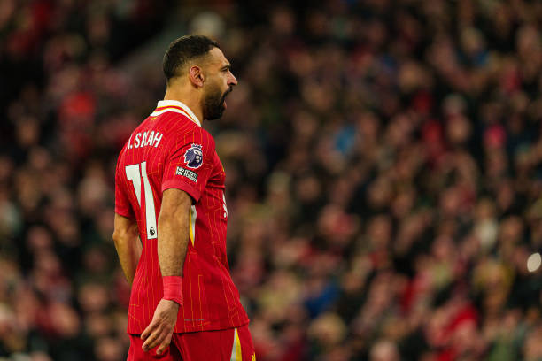 布莱顿主场 布莱顿主场