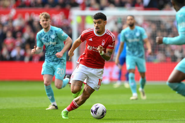 光闪耀的球 光闪耀的球