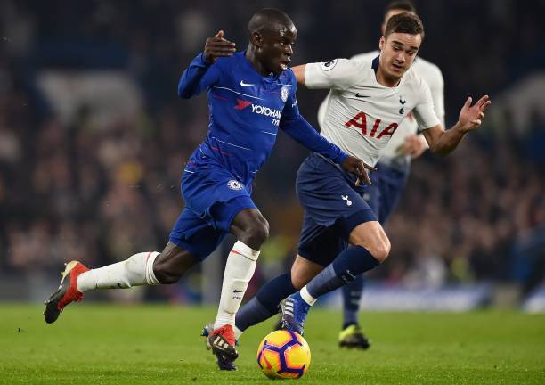 哈兰德的狗 哈兰德的狗