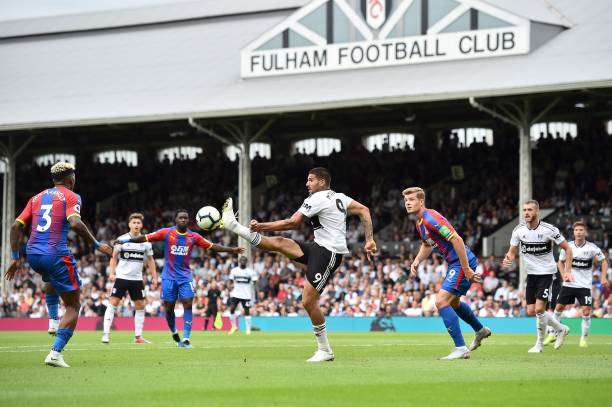 反观薛飞 反观薛飞