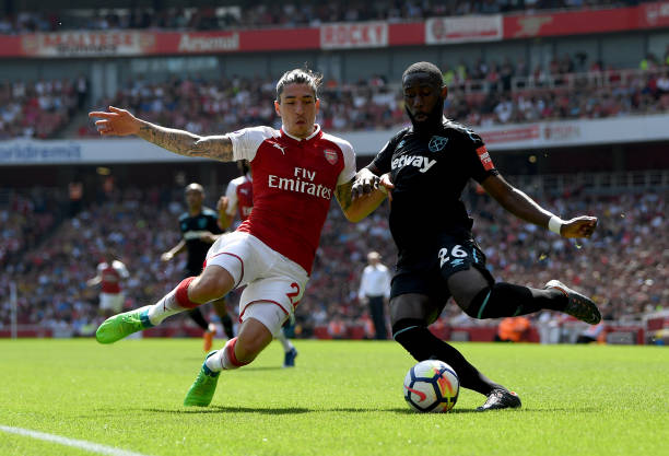 布朗尼确实 布朗尼确实